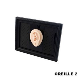Cadre présentoir à piercings avec modèle en silicone - oreille 2