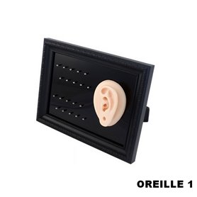 Cadre présentoir à piercings avec modèle en silicone - oreille 1
