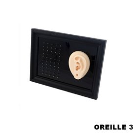 Cadre présentoir à piercings avec modèle en silicone - oreille 3