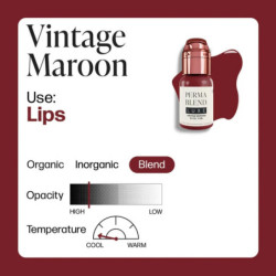 Encre PERMA BLEND LUXE Vintage Maroon 15ml