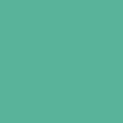 QUANTUM Absinthe Tattoo Ink 30ml