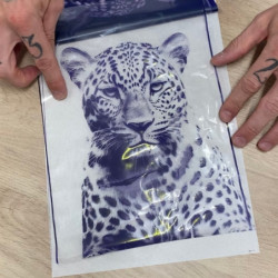 Demo Clear Paper Ink Demo Clear Paper Ink