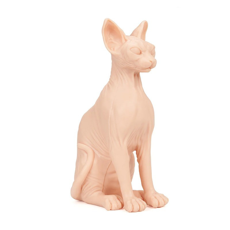 A POUND OF FLESH Sphynx Cat A POUND OF FLESH Sphynx Cat