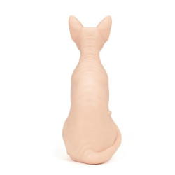 Peau synthétique Sphynx Cat Peau synthétique Sphynx Cat