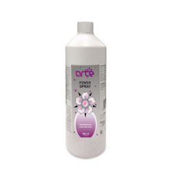 Desinfectant pour surface ARTE 1000ml