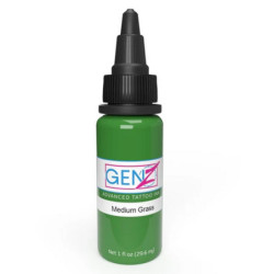 Encre INTENZE Medium Grass 30ML