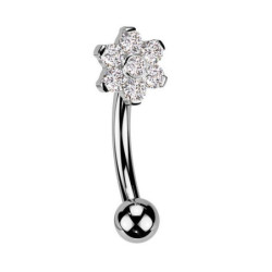 Piercing Barbell courbé design fleur et zircon en Titane