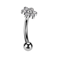 Piercing Barbell courbé élégance florale avec zircon en Titane
