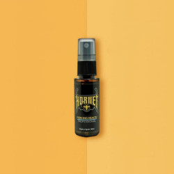Lotion nettoyante piercing HORNET Professional Lotion nettoyante piercing HORNET Professional