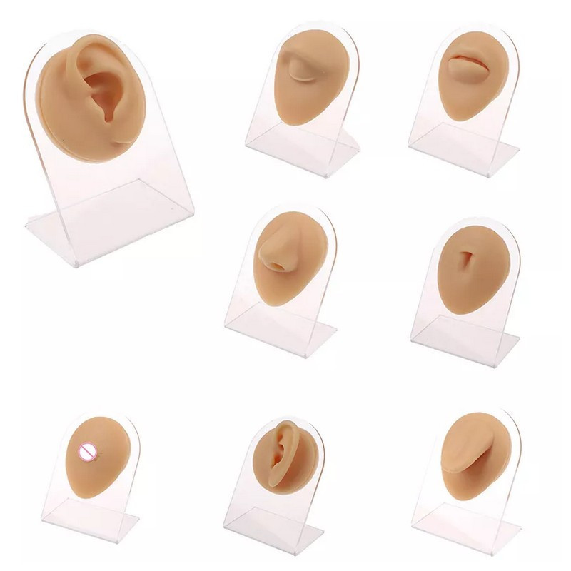 Parties du corps en silicone pour piercing avec présentoir