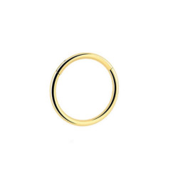 Bijou stérile piercing ANNEAU charnière en Titane PVD Gold