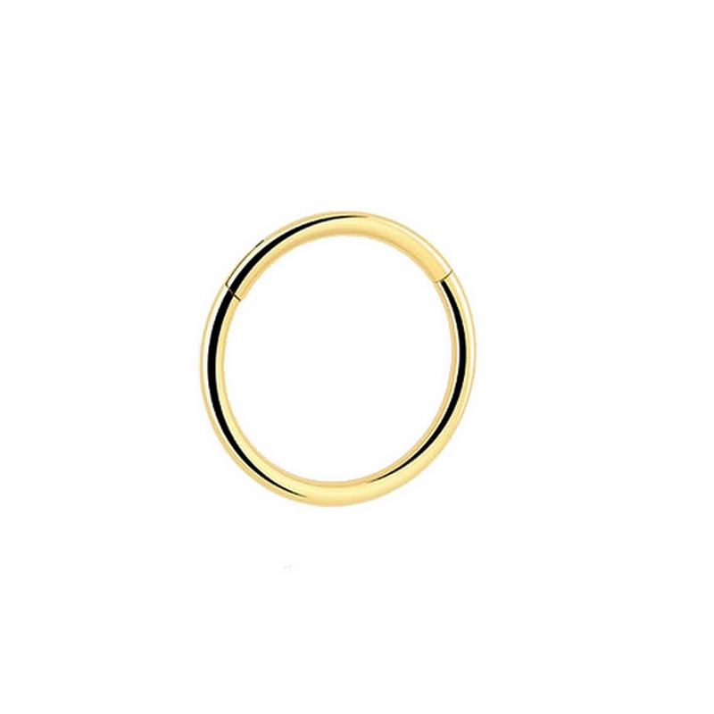 Bijou stérile piercing ANNEAU charnière en Titane PVD Gold Bijou stérile piercing ANNEAU charnière en Titane PVD Gold