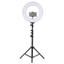 Lampe led circulaire sur pieds