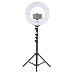 Lampe led circulaire sur pieds
