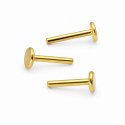 Labret Titane PVD Gold