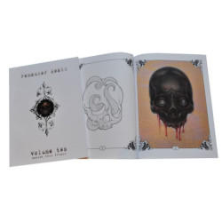Illustration Book tete de mort