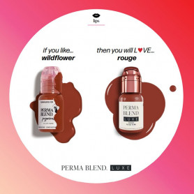 Nuancier comparatif Rouge 15ml